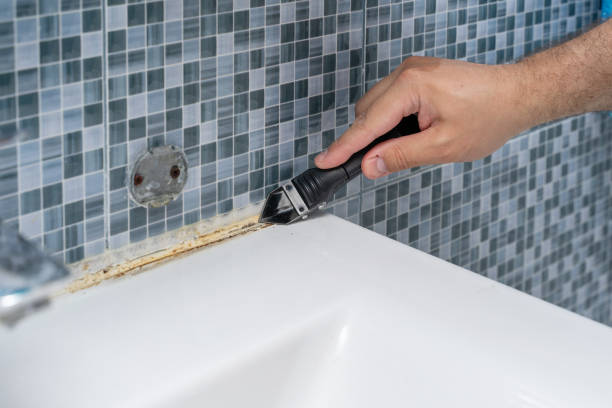 Best Preventive Mold Services in Ponderosa Pine, NM