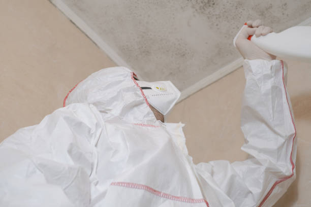 Best Kitchen Mold Remediation in Ponderosa Pine, NM